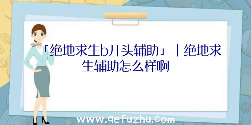 「绝地求生b开头辅助」|绝地求生辅助怎么样啊